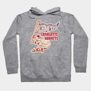 Charlotte Hornets Baseball Hoodie